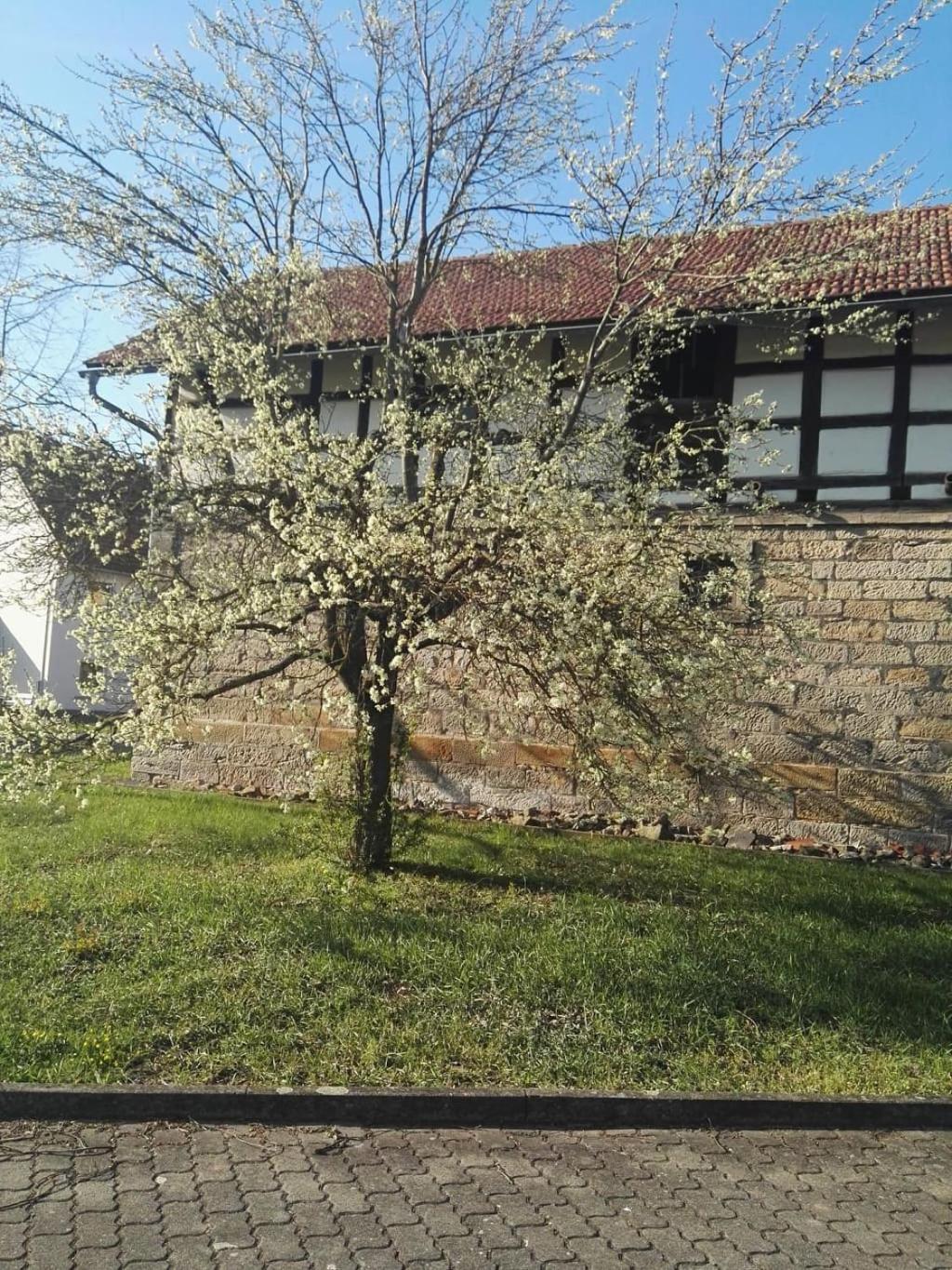 Gaestehaus Zum Gesundheitszentrum Matz Sulzdorf an der Lederhecke Exterior foto